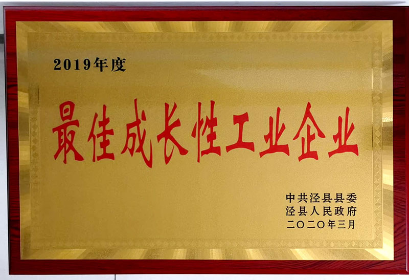 蕞佳成长性工业企业