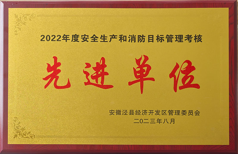 2022年度安全生产和消防目标管理考核先进单位