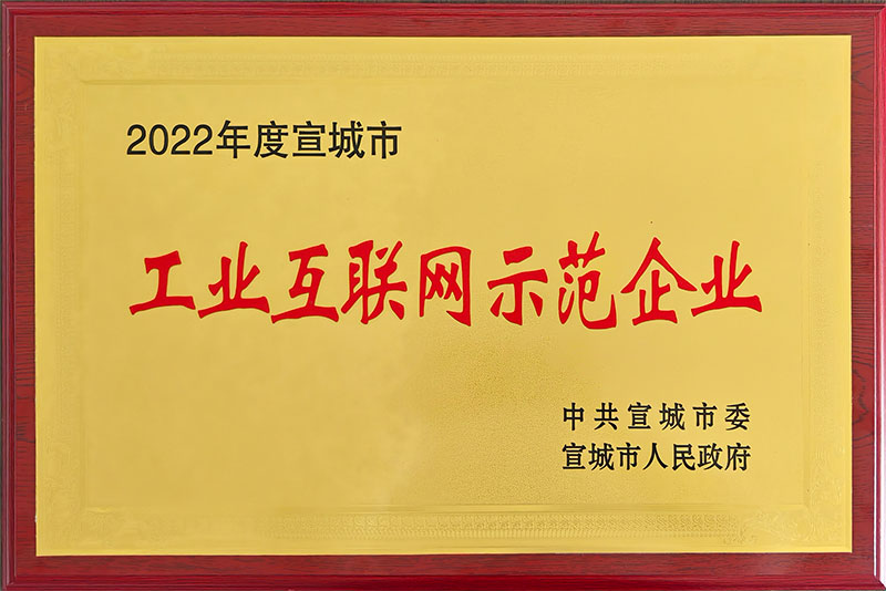 2022年度宣城市工业互联网示范企业